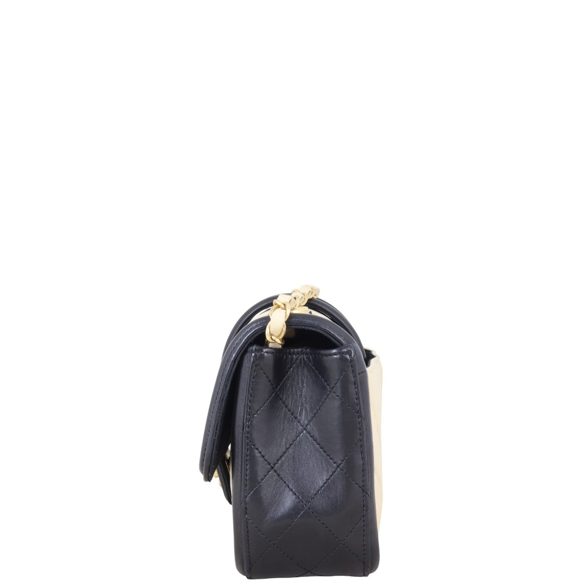 Chanel Elegant CC Flap Bag Medium