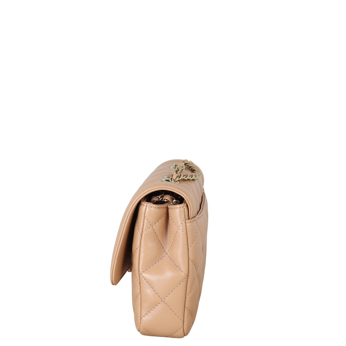 Chanel Hold The Line Flap Bag