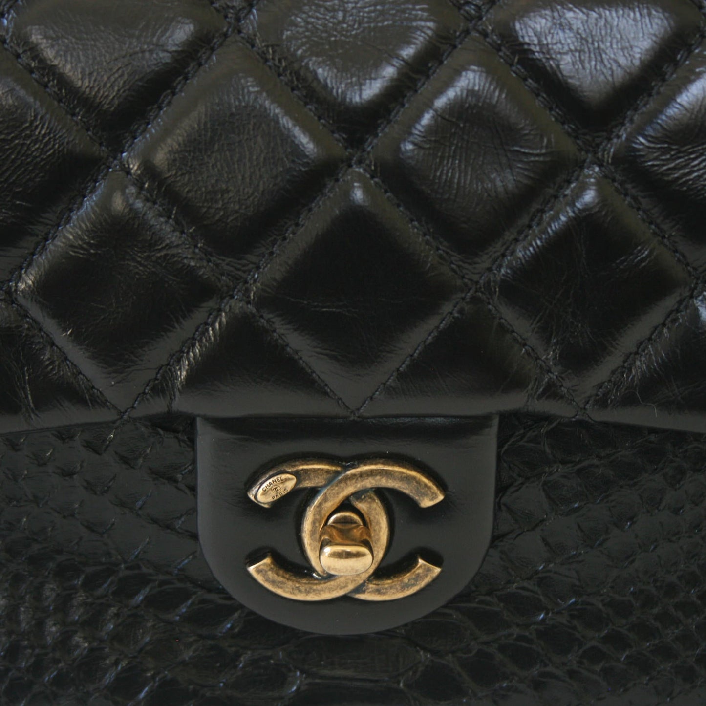 Chanel Python Flap Bag