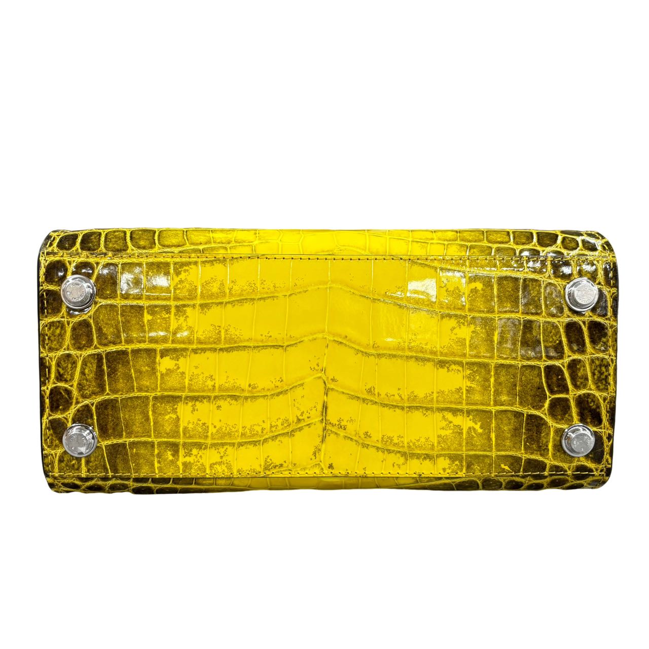LOUIS VUITTON Crocodile City Steamer PM