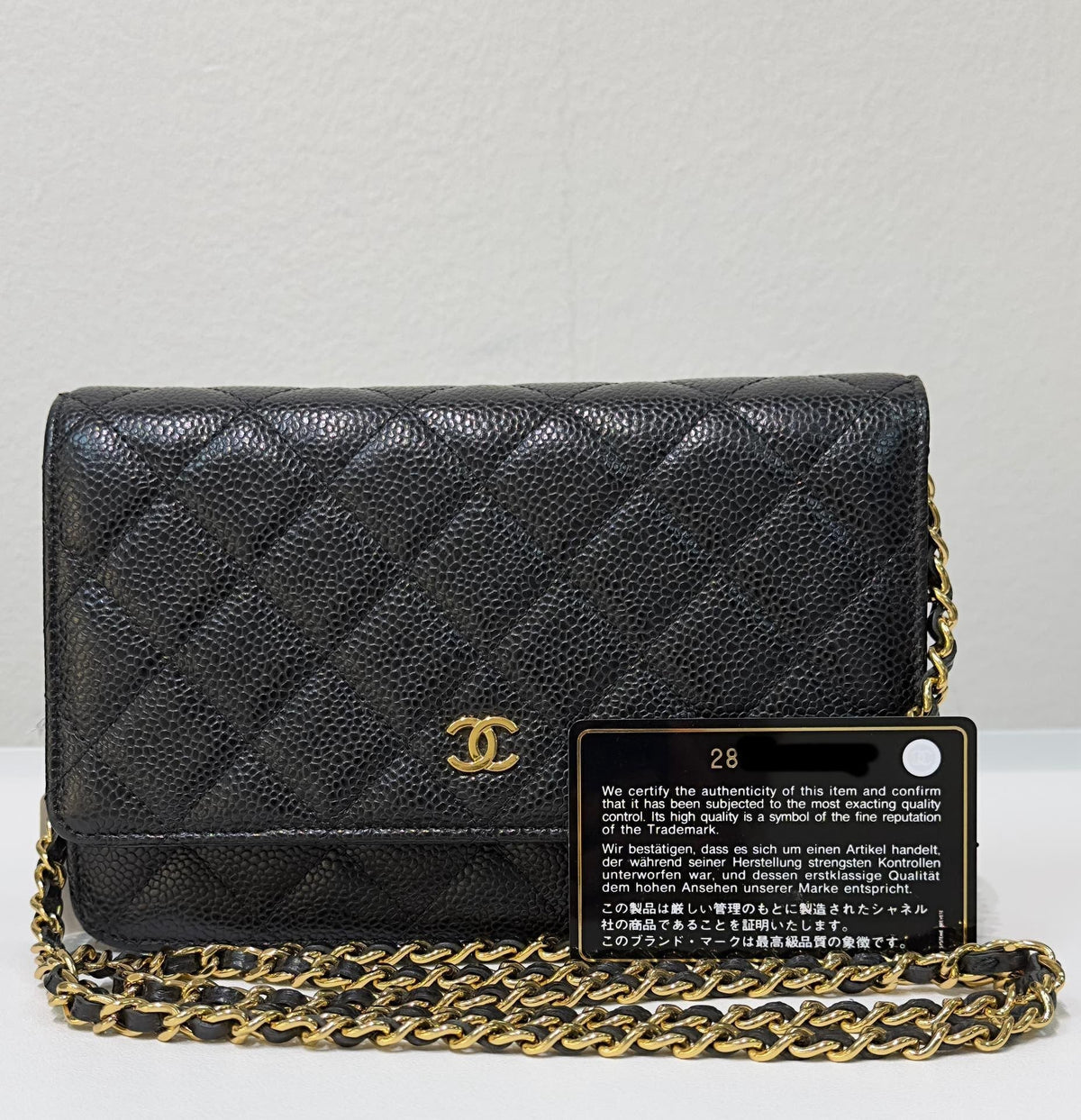 Chanel Wallet On Chain Crossbody Bag - Tiana Bags