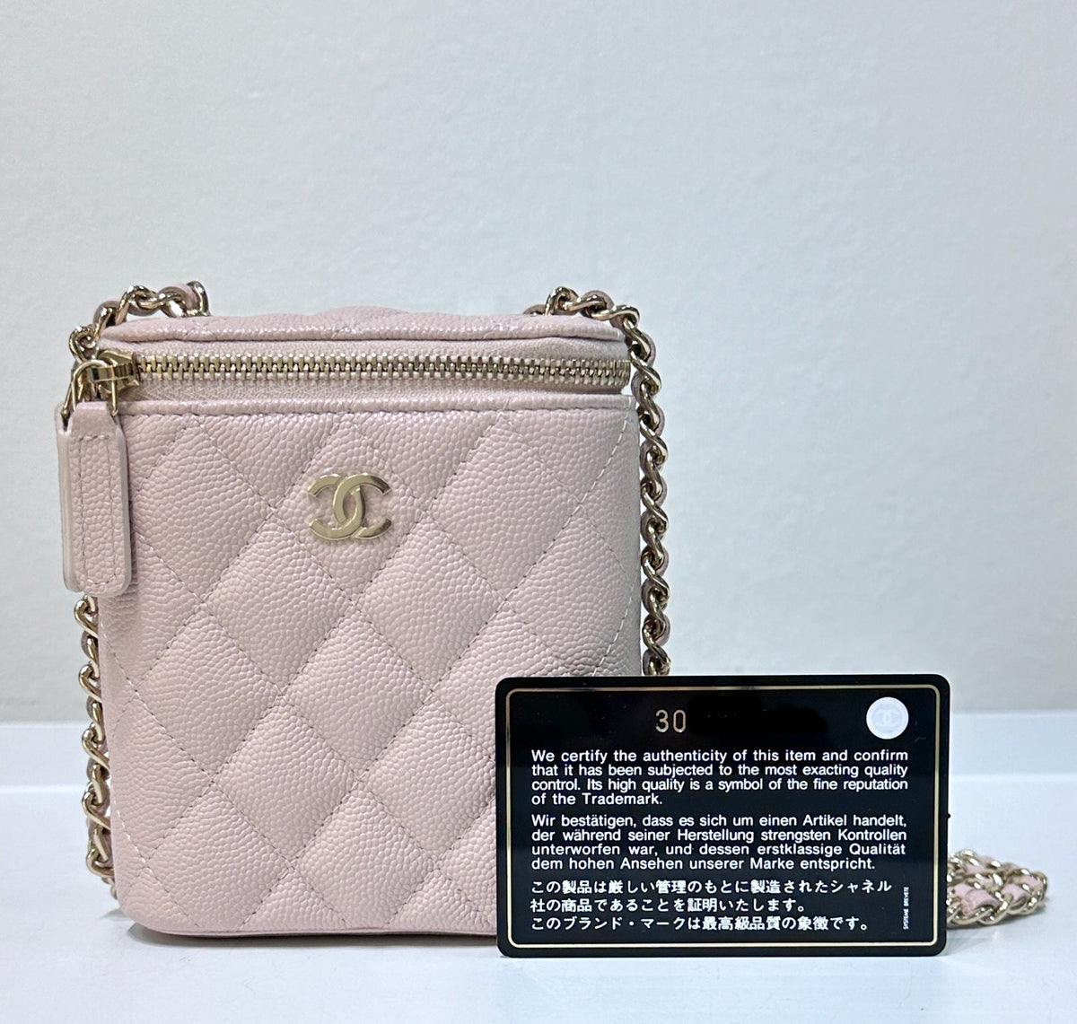 Chanel Handbag - Tiana Bags