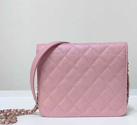 Chanel Wallet On Chain Crossbody Bag - Tiana Bags