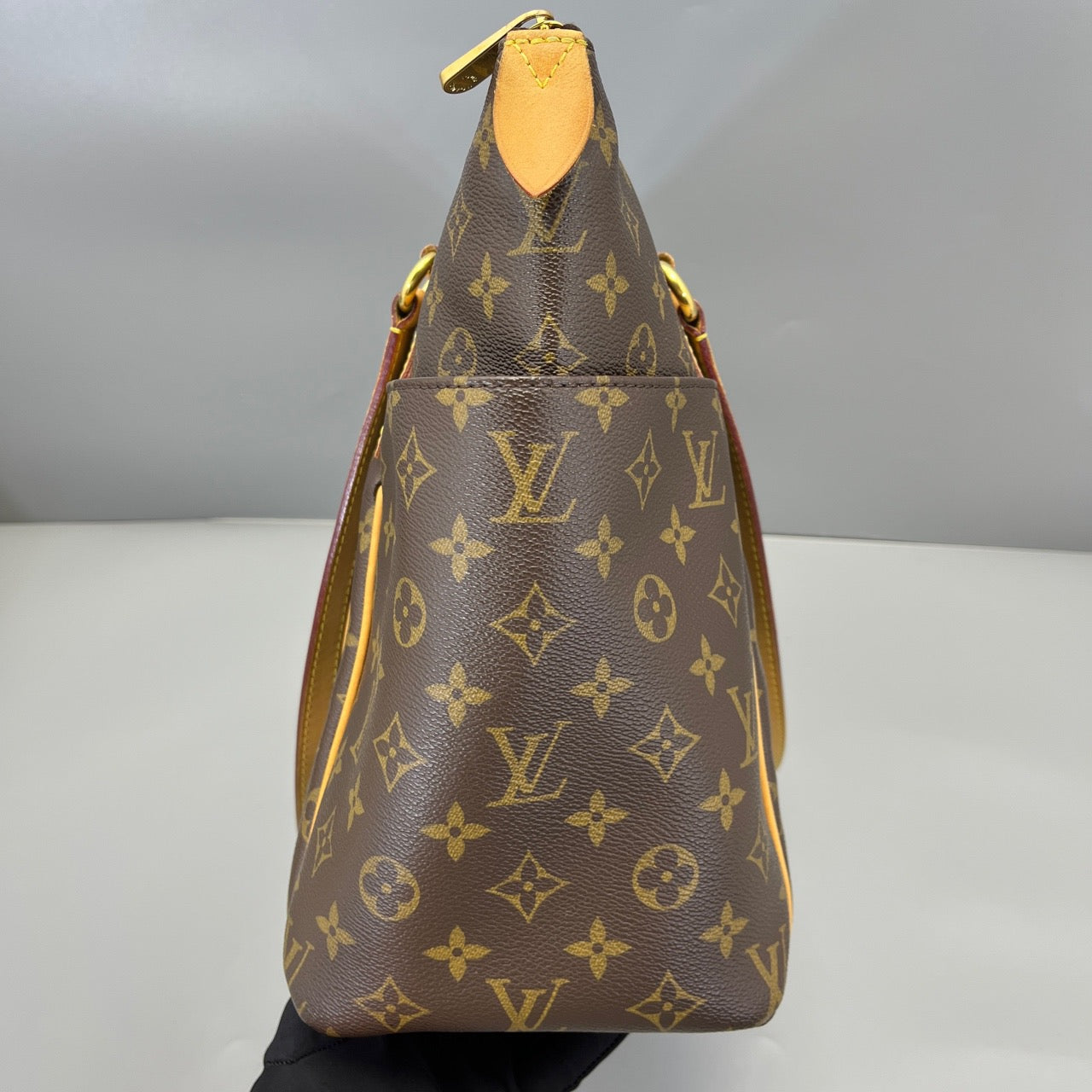 LOUIS VUITTONTOTO Bag
