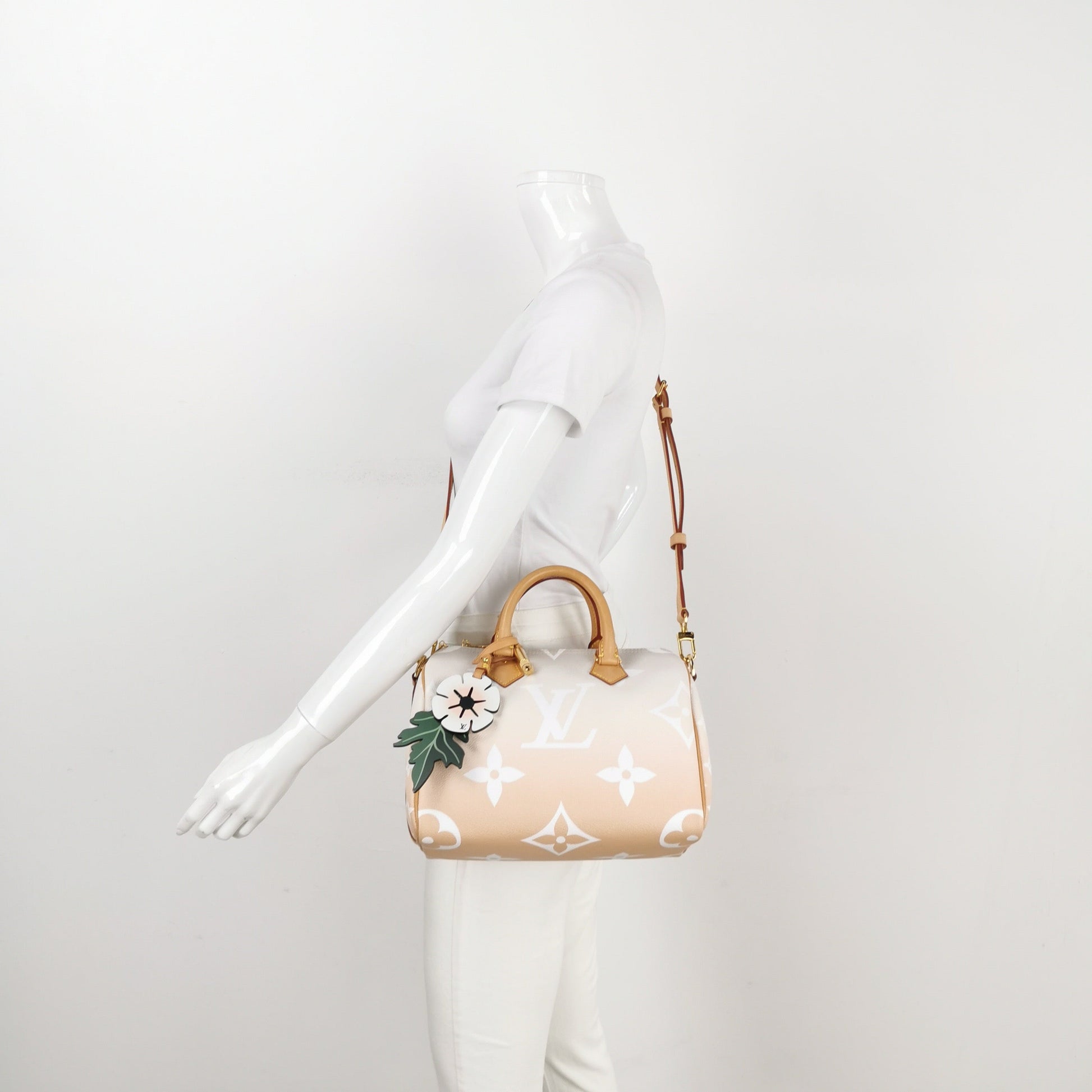 Louis Vuitton Bandouliere By The Pool Monogram Giant 25 Crossbody Bag