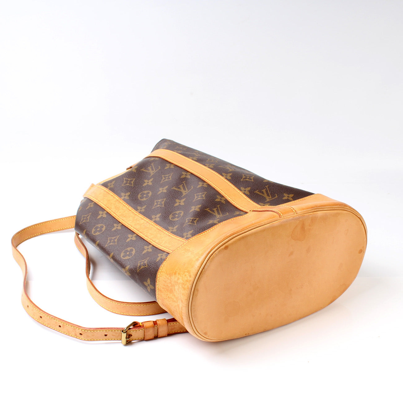 Louis Vuitton Randonee Backpack PM Monogram