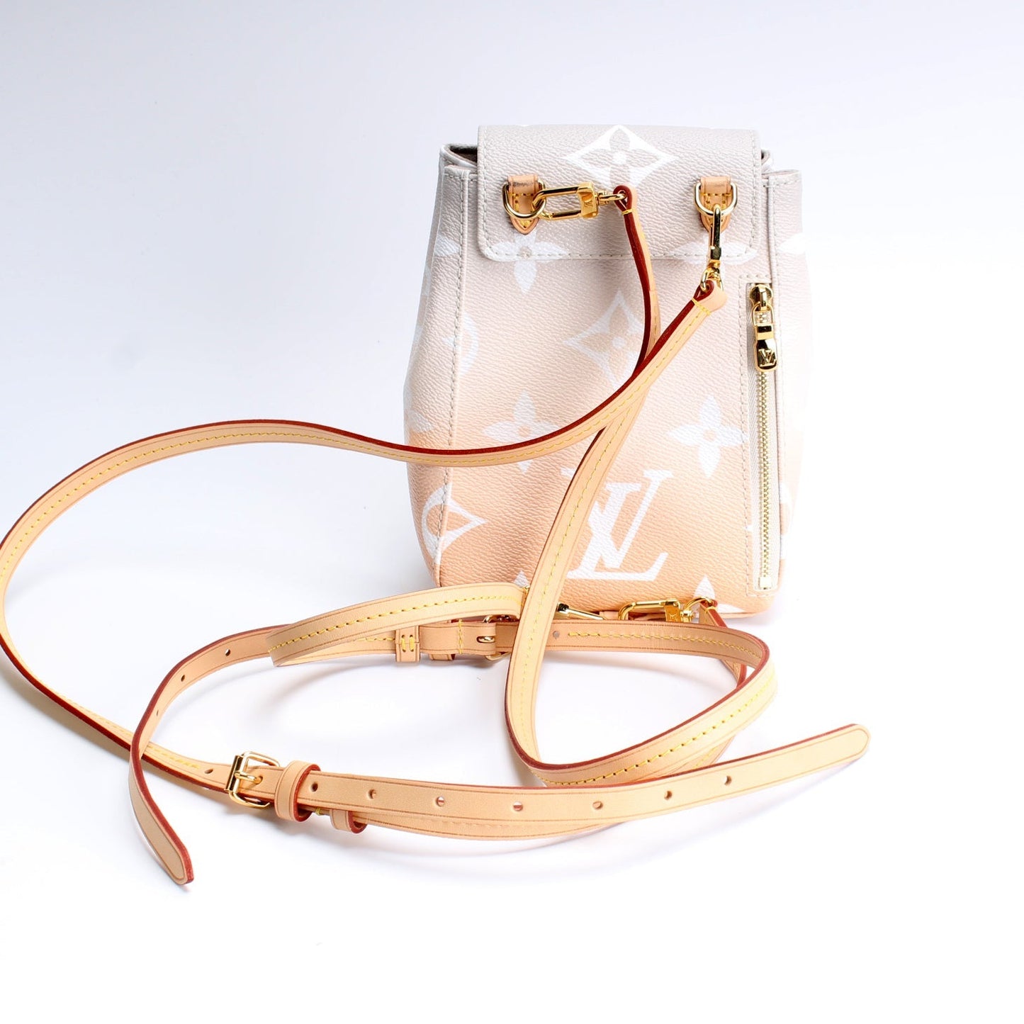 Louis Vuitton Tiny Backpack By The Pool