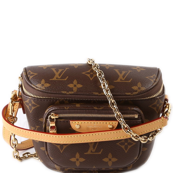 Louis Vuitton Mini Bumbag Monogram