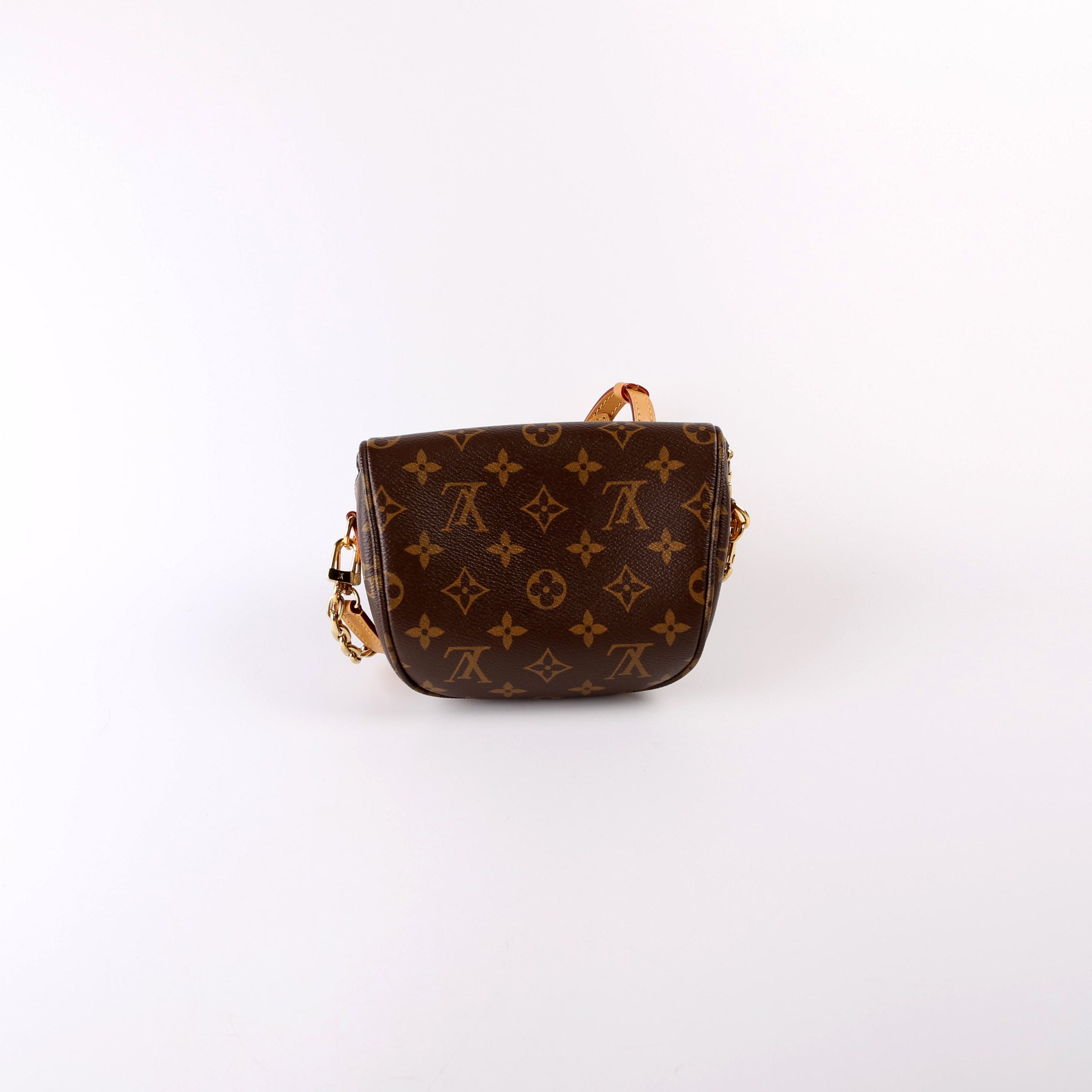 Louis Vuitton Mini Bumbag Monogram