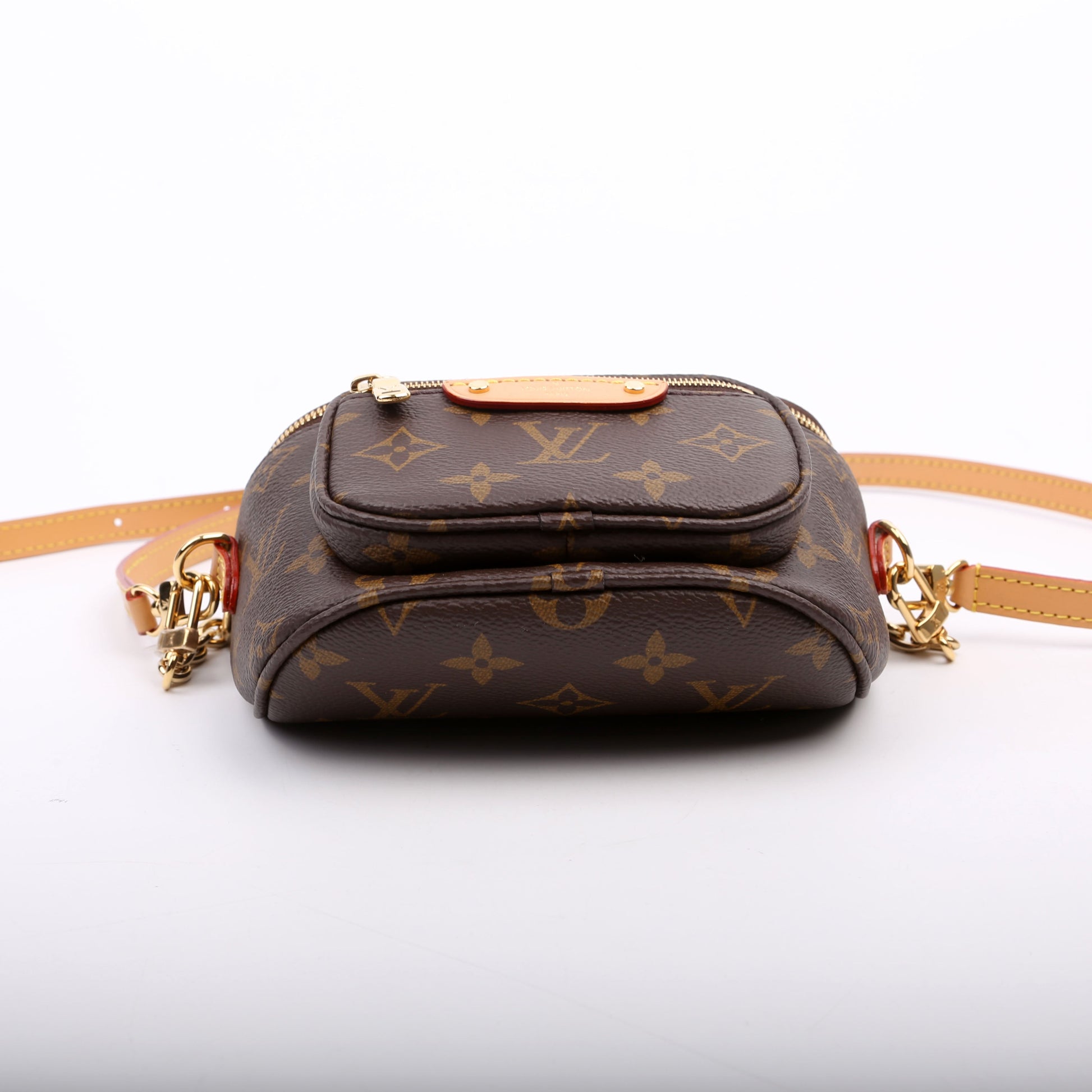 Louis Vuitton Mini Bumbag Monogram