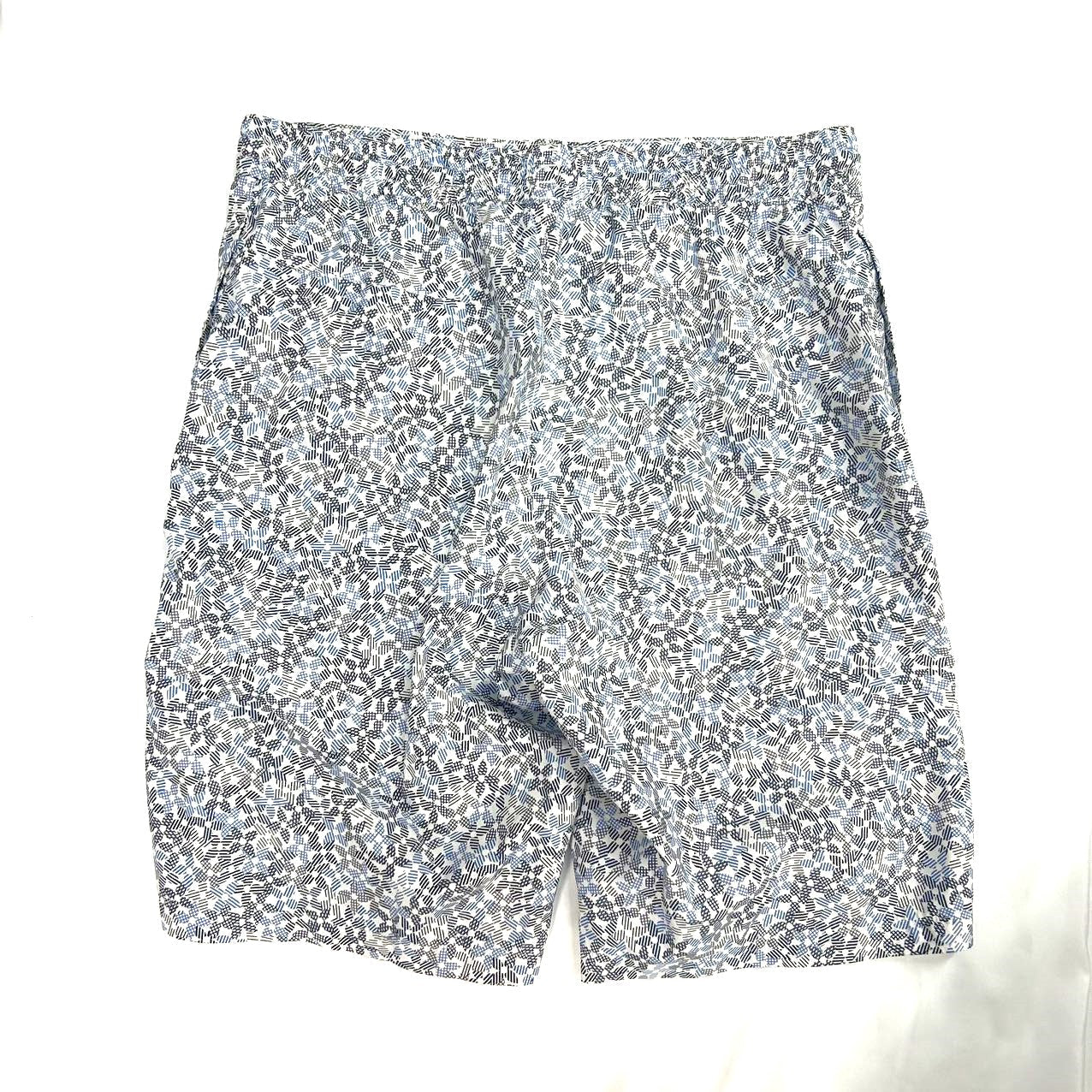 LOUIS VUITTON Swim Short Pants