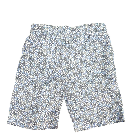 LOUIS VUITTON Swim Short Pants