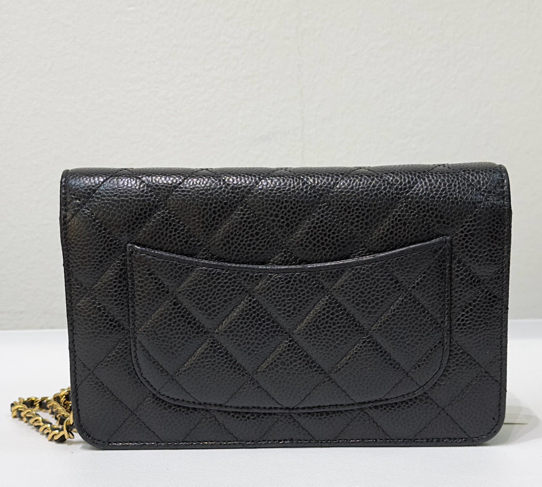 Chanel Wallet On Chain Crossbody Bag - Tiana Bags
