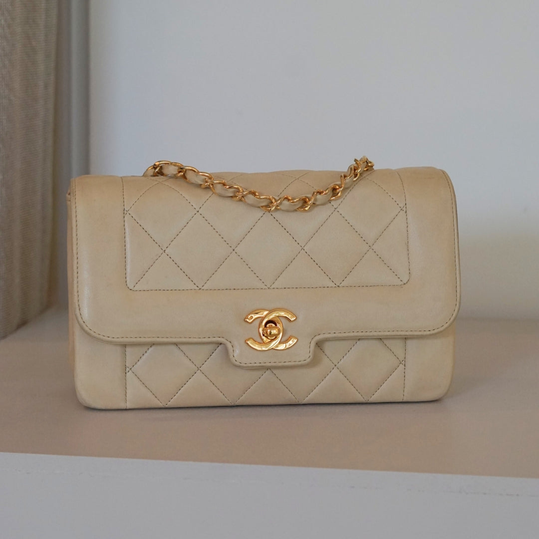 Chanel Diana Handbag Bag - Tiana Bags