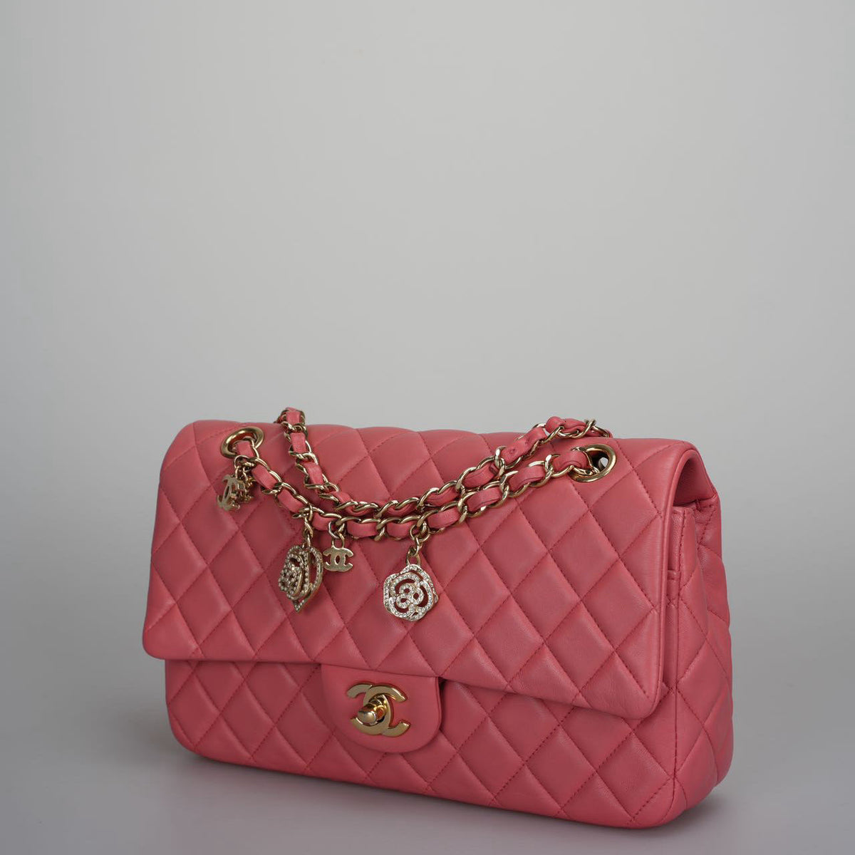 Chanel Handbag - Tiana Bags