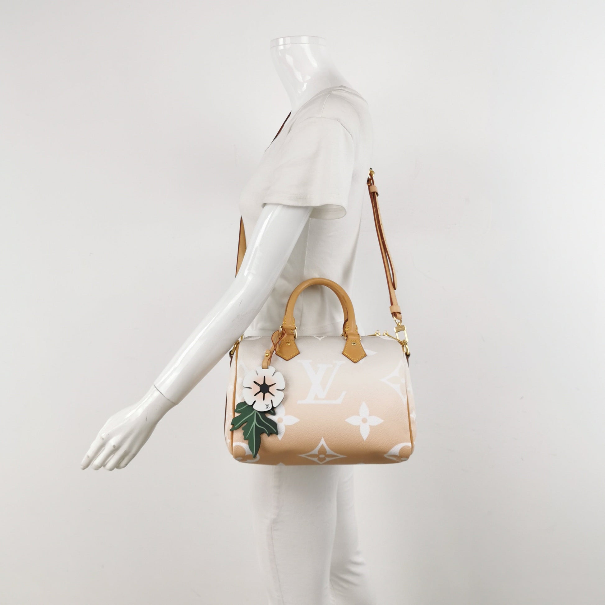 Louis Vuitton Bandouliere By The Pool Monogram Giant 25 Crossbody Bag