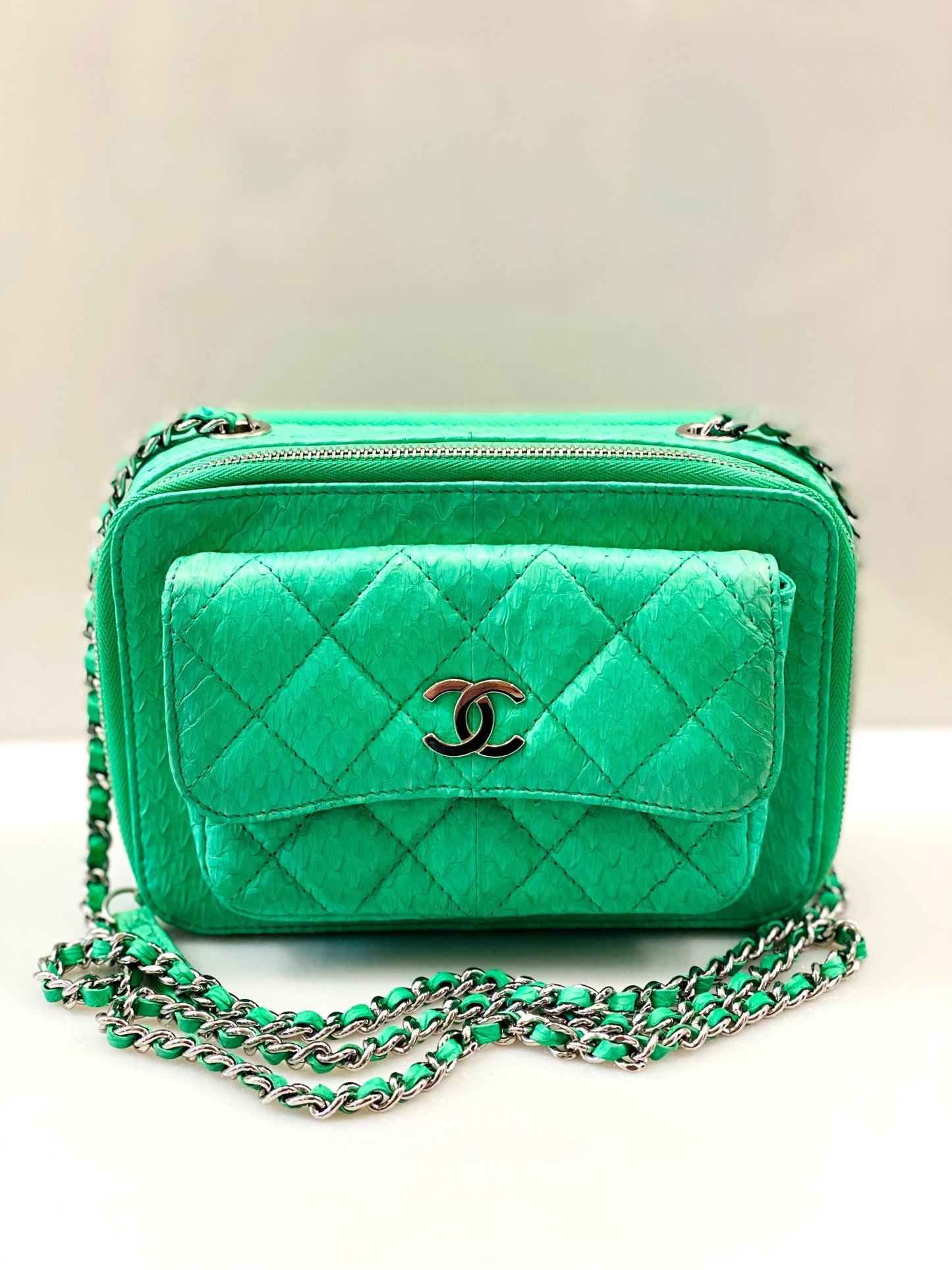 CHANEL DOUBLE ZIP SNAKESKIN EMBOSSED LEATHER SMALL CAMERA BAG