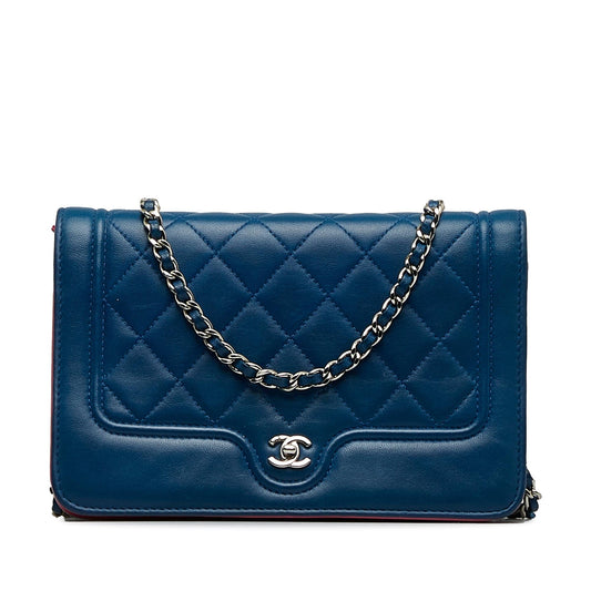 Chanel Wallet On Chain Crossbody Bag - Tiana Bags