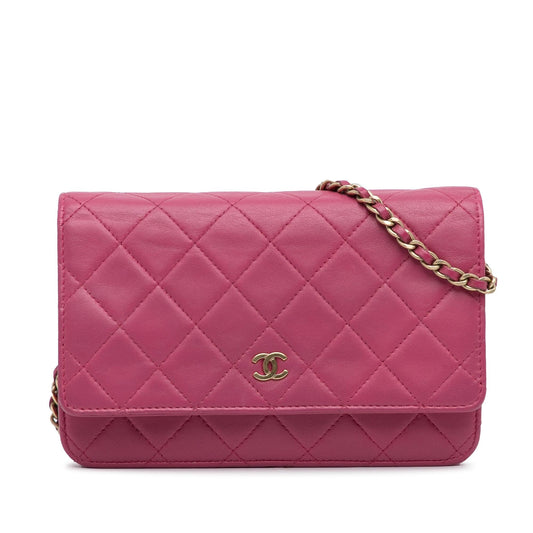 Chanel Wallet On Chain Crossbody Bag - Tiana Bags
