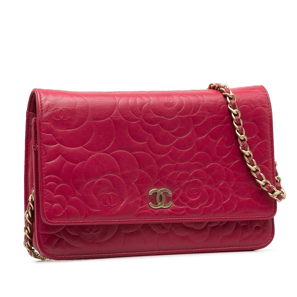 Chanel Wallet On Chain Crossbody Bag - Tiana Bags