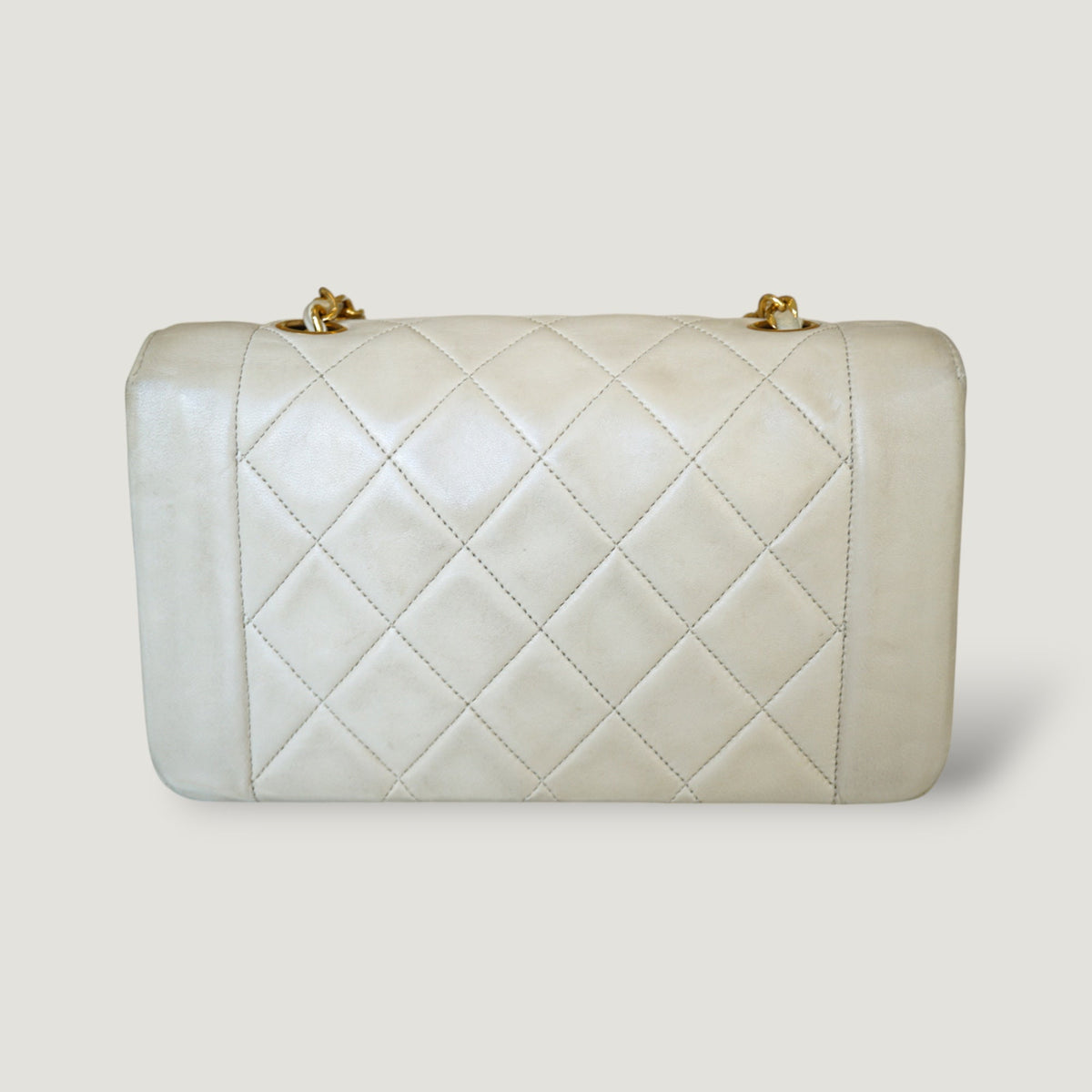 Chanel Diana Handbag Bag - Tiana Bags