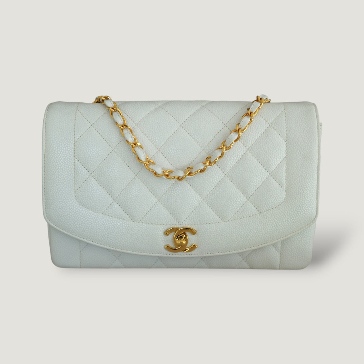 Chanel Diana Handbag Bag - Tiana Bags