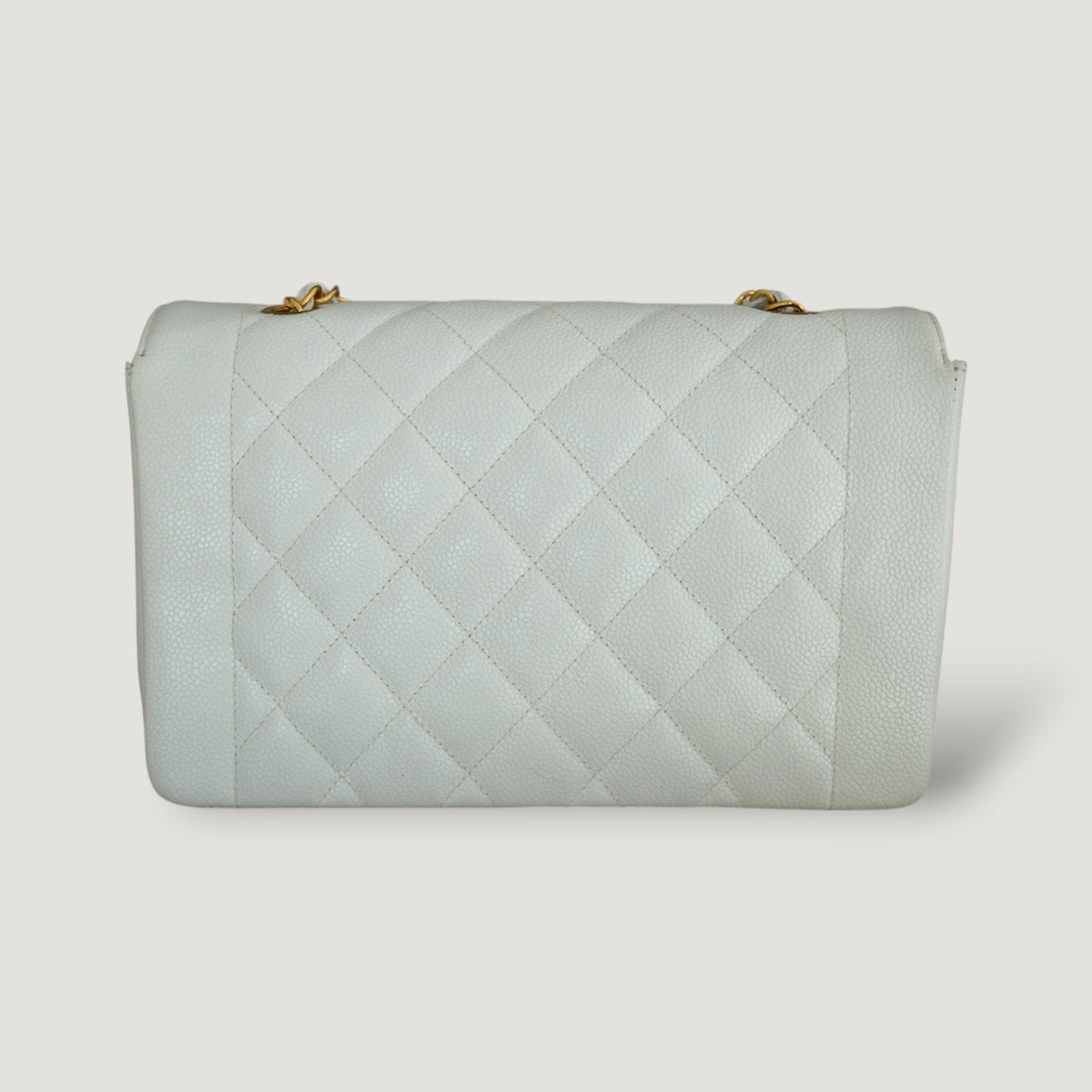 Chanel Diana Handbag Bag - Tiana Bags