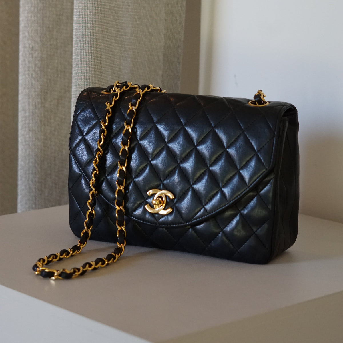 Chanel Handbag Bag - Tiana Bags