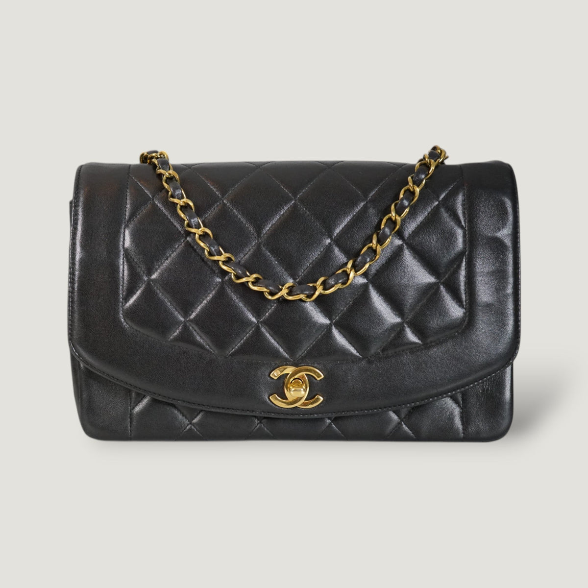 Chanel Diana Handbag Bag - Tiana Bags