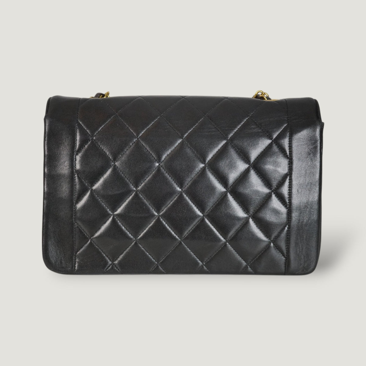 Chanel Diana Handbag Bag - Tiana Bags