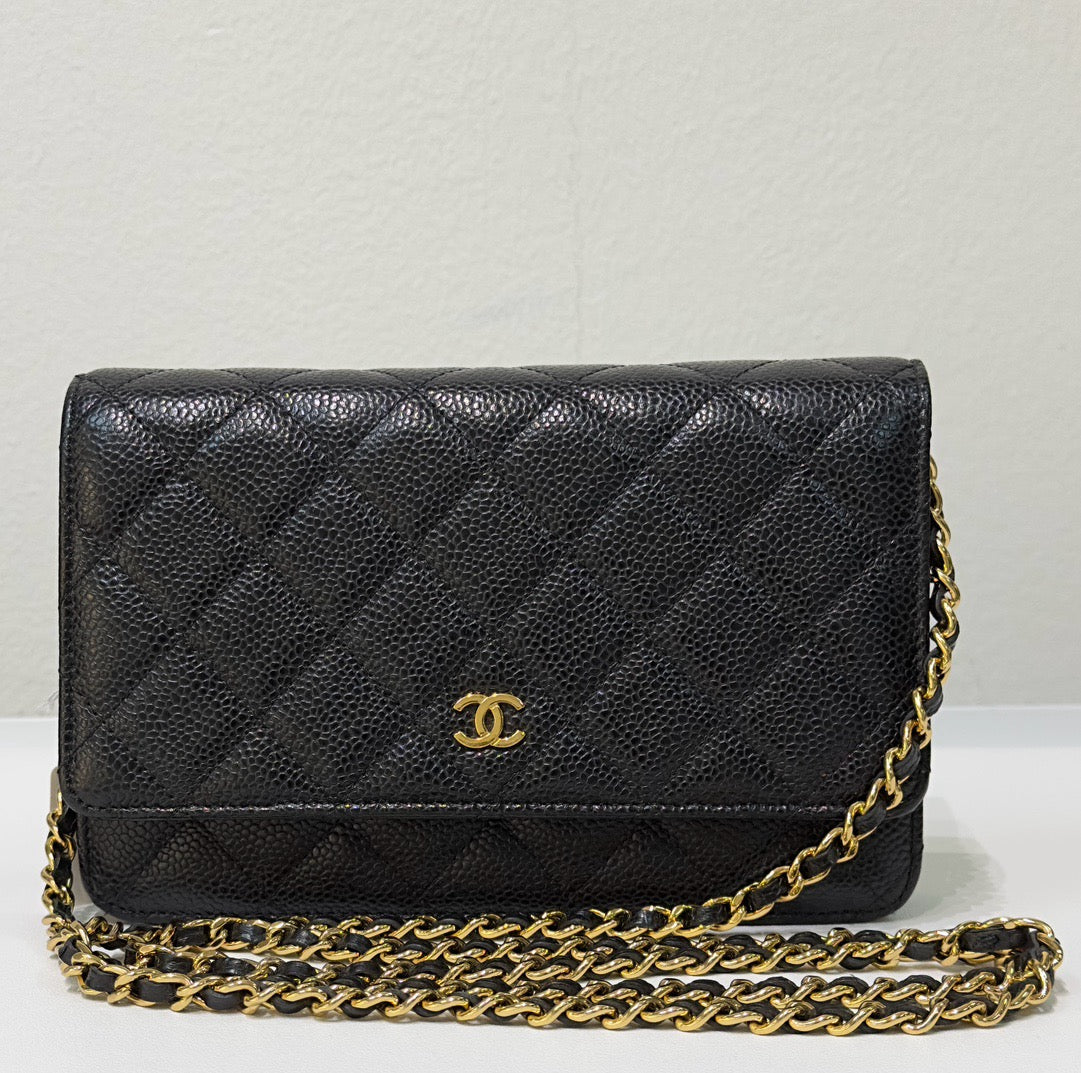 Chanel Wallet On Chain Crossbody Bag - Tiana Bags