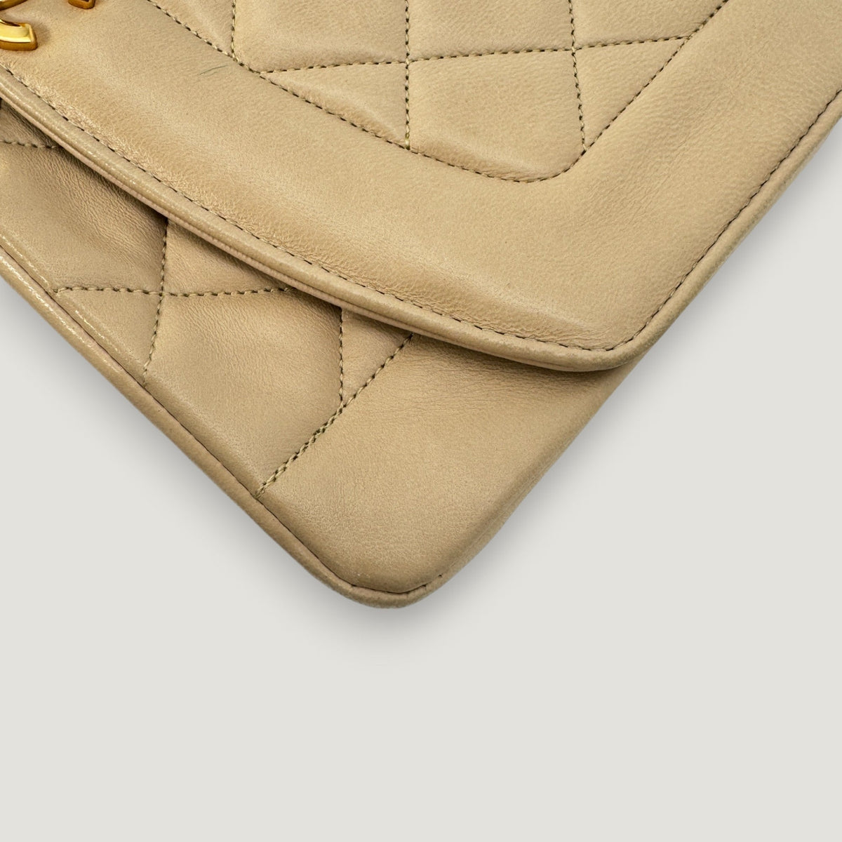 Chanel Diana Handbag Bag - Tiana Bags