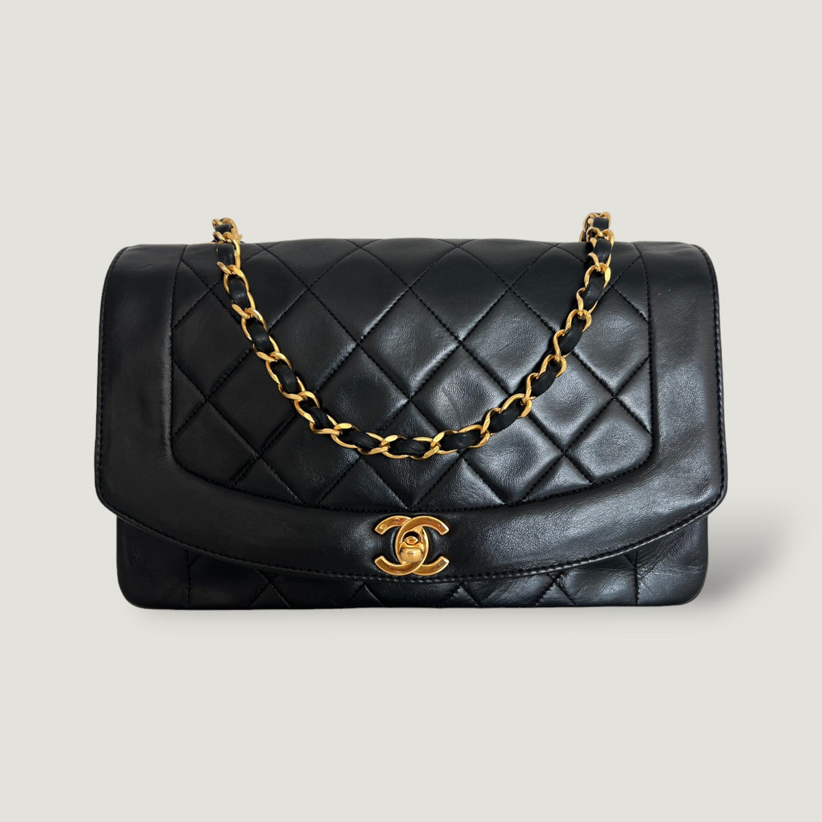 Chanel Diana Handbag Bag - Tiana Bags