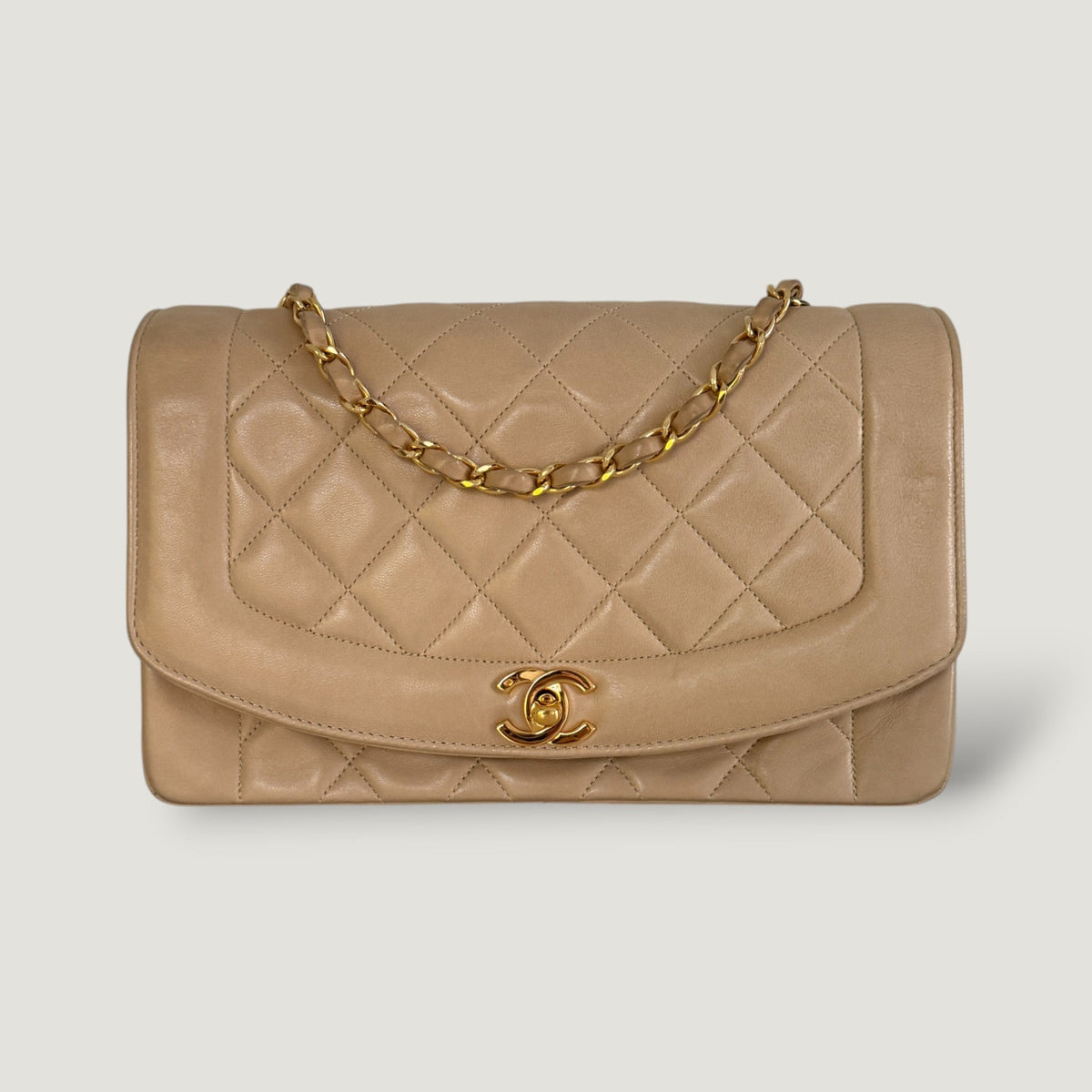 Chanel Diana Handbag Bag - Tiana Bags