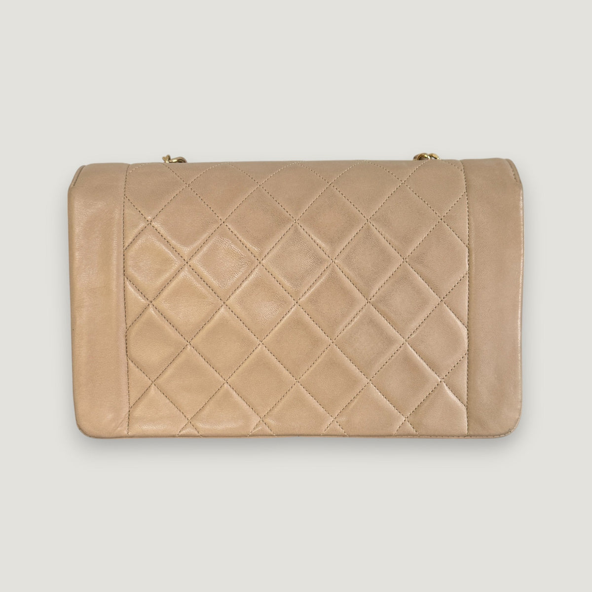 Chanel Diana Handbag Bag - Tiana Bags