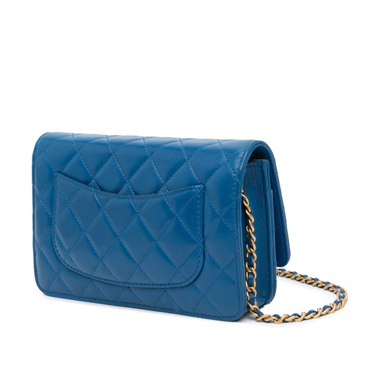 Chanel Wallet On Chain Crossbody Bag - Tiana Bags