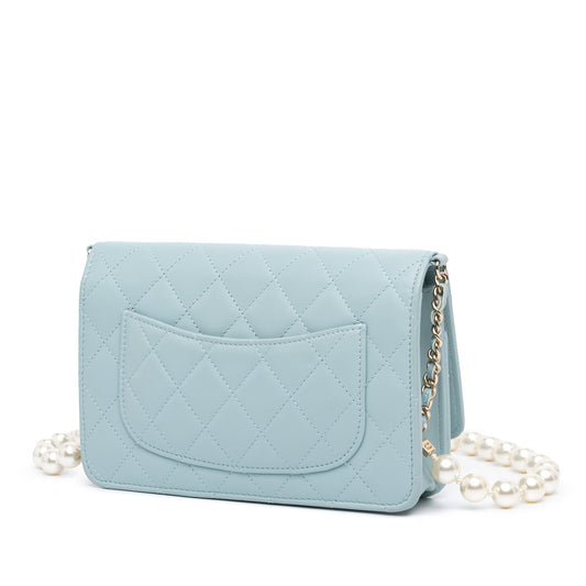 Chanel Wallet On Chain Crossbody Bag - Tiana Bags