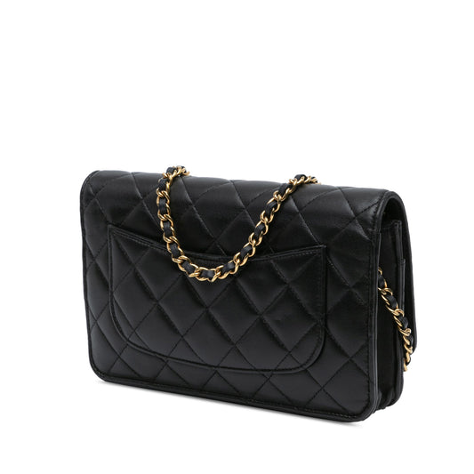 Chanel Wallet On Chain Crossbody Bag - Tiana Bags