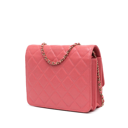 Chanel Wallet On Chain Crossbody Bag - Tiana Bags