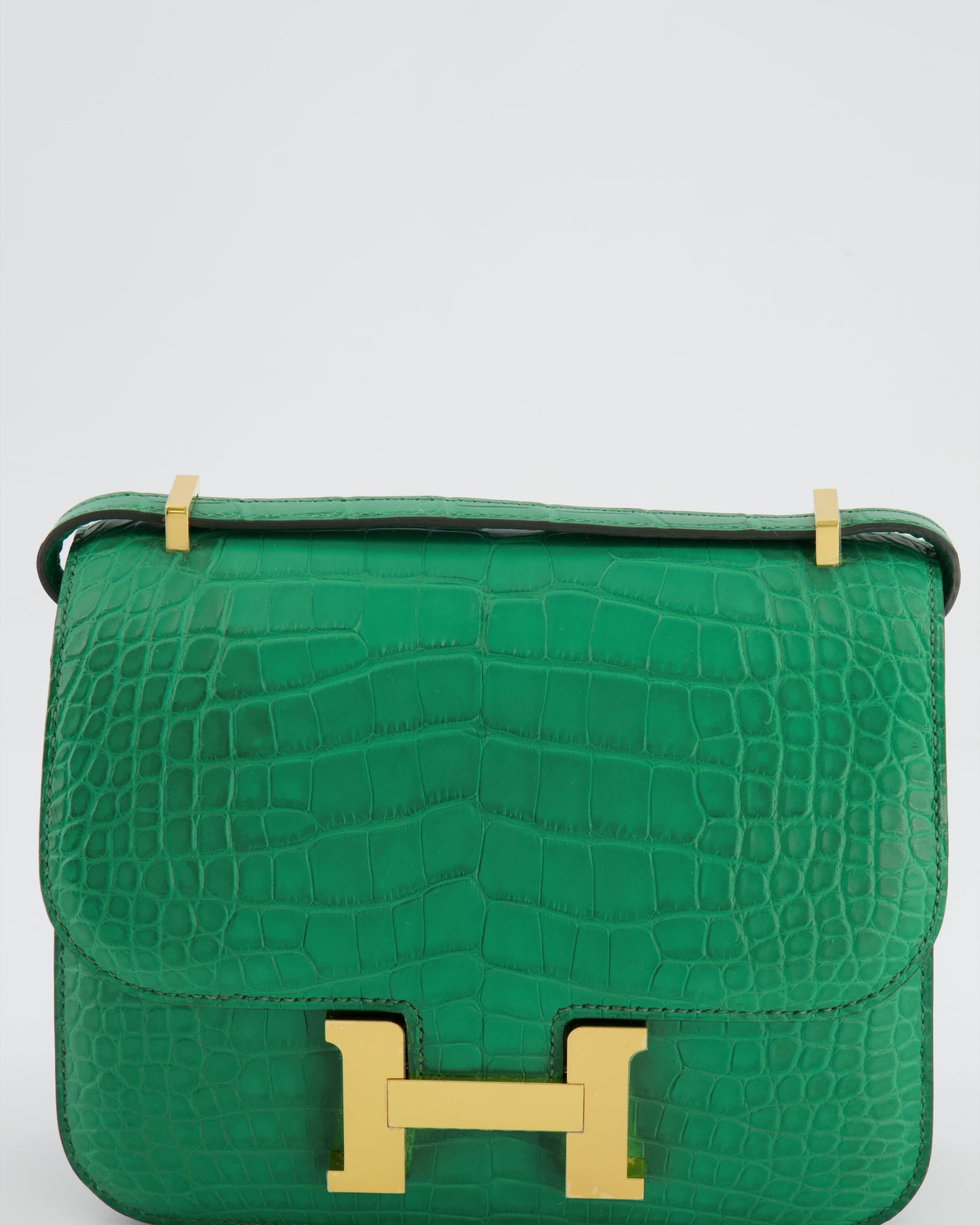 *STORE FRESH* Hermes Constance III 18 Bag in Cactus Alligator Mississippiensis Leather with Gold Hardware
