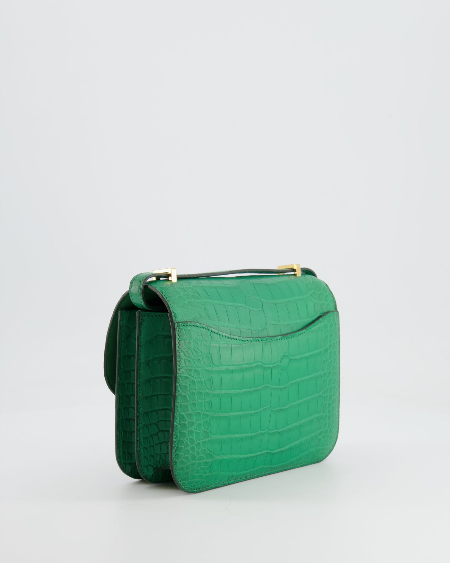 *STORE FRESH* Hermes Constance III 18 Bag in Cactus Alligator Mississippiensis Leather with Gold Hardware