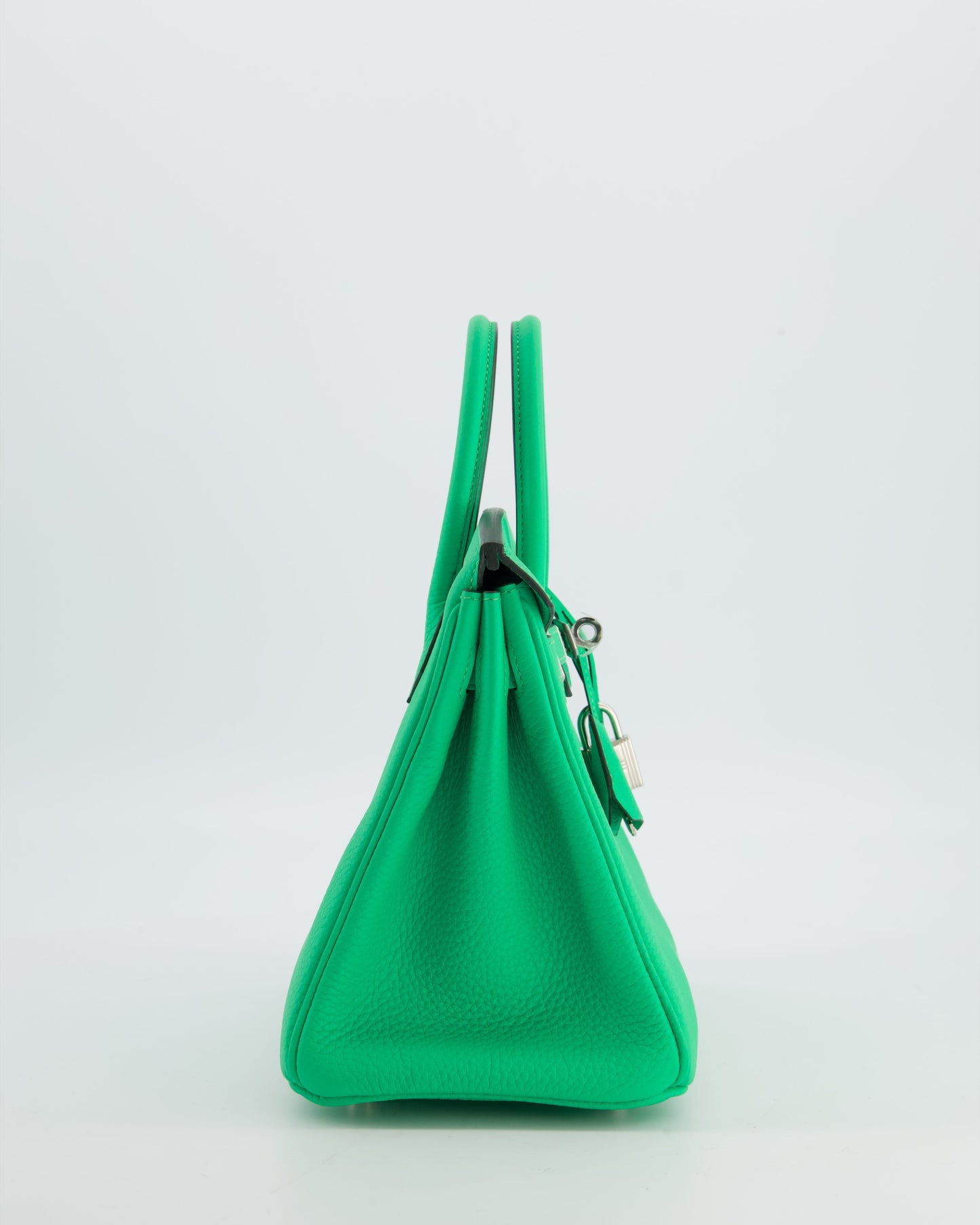 Hermes Birkin 25 Retourne Bag in Vert Comics Togo Leather with Palladium Hardware