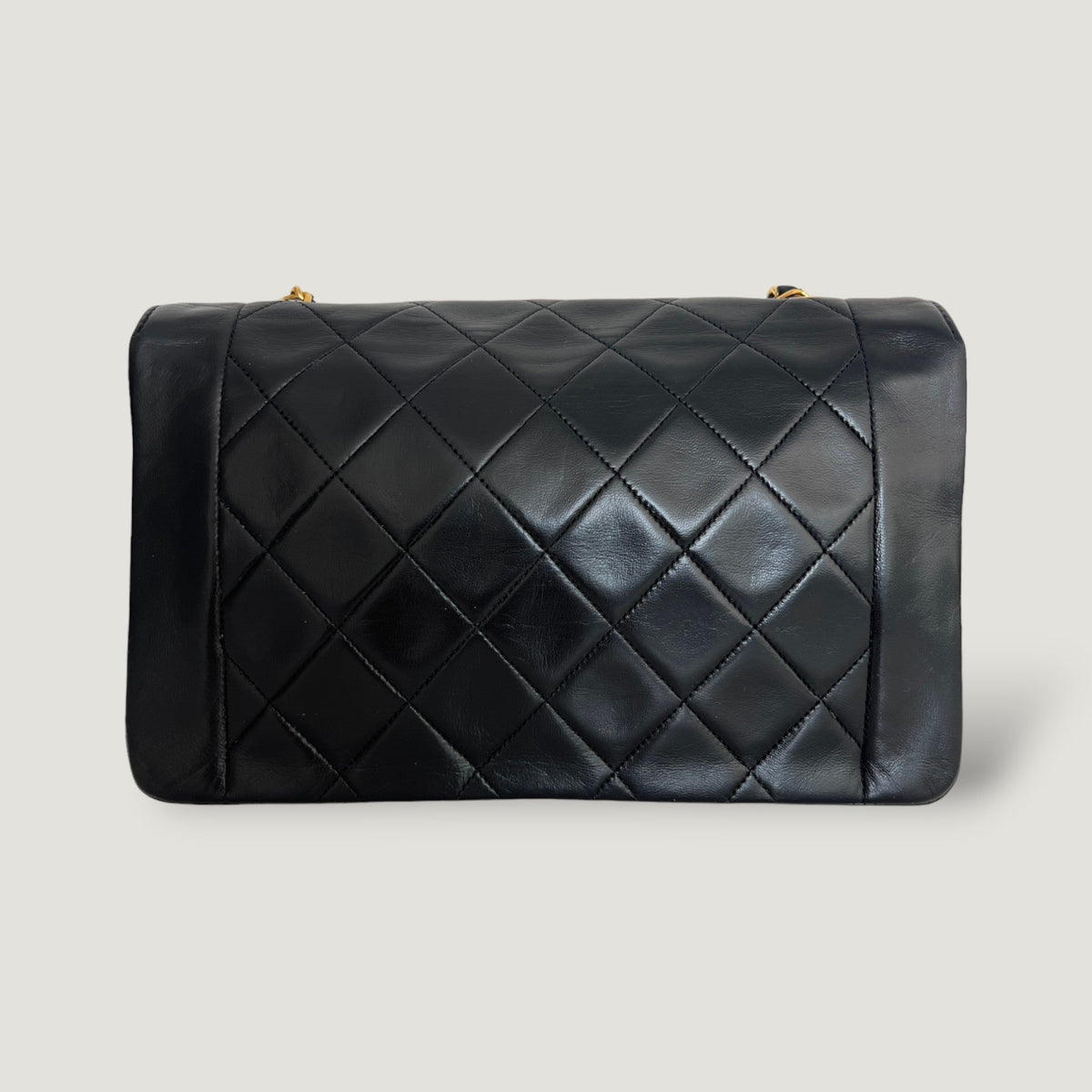 Chanel Diana Handbag Bag - Tiana Bags