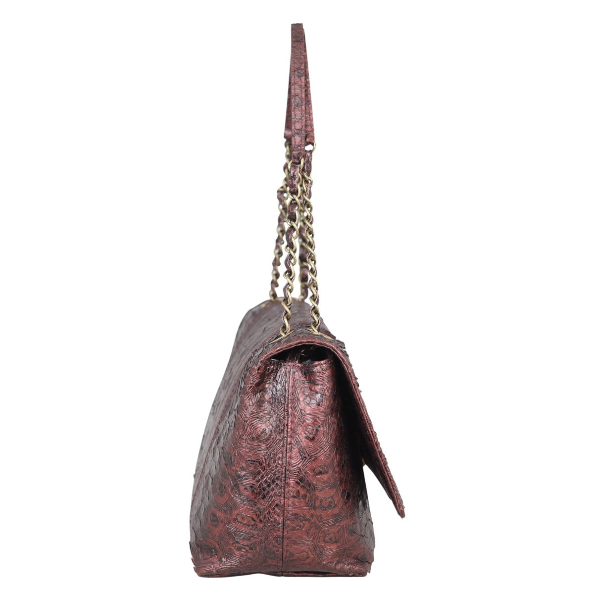 Chanel Python CC Flap Bag