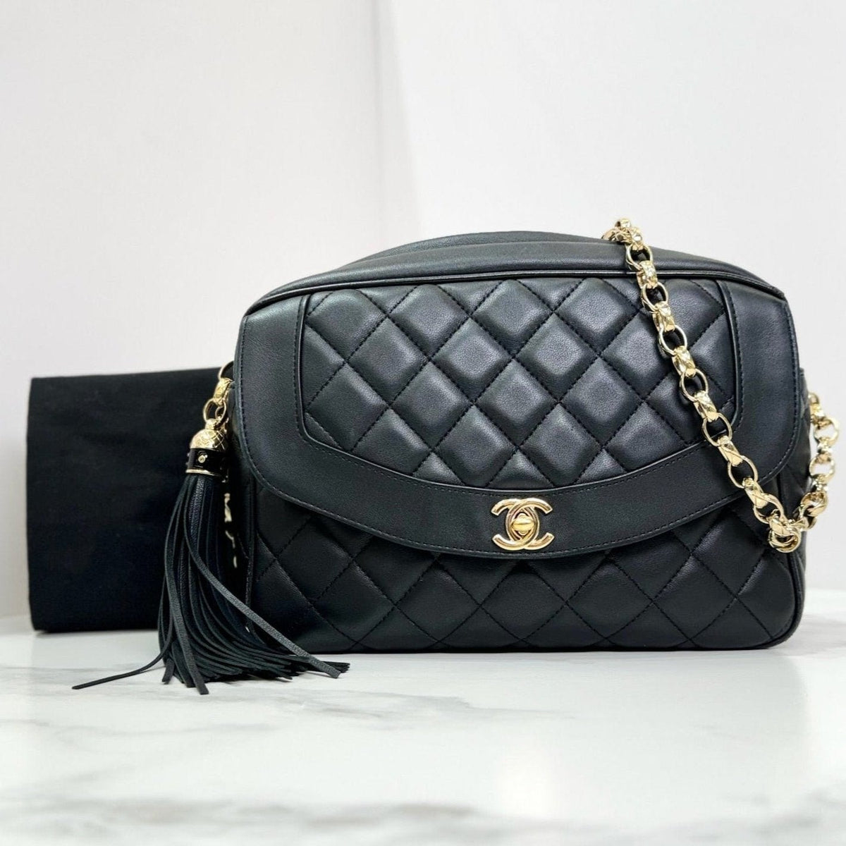 Chanel Camera Bag Crossbody Bag - Tiana Bags