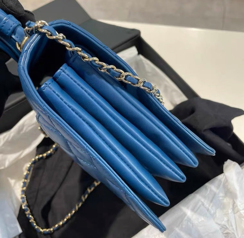 Chanel Crossbody Bag - Tiana Bags