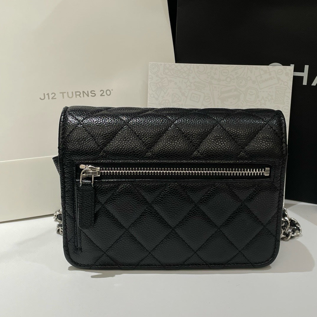 Chanel Wallet On Chain Crossbody Bag - Tiana Bags