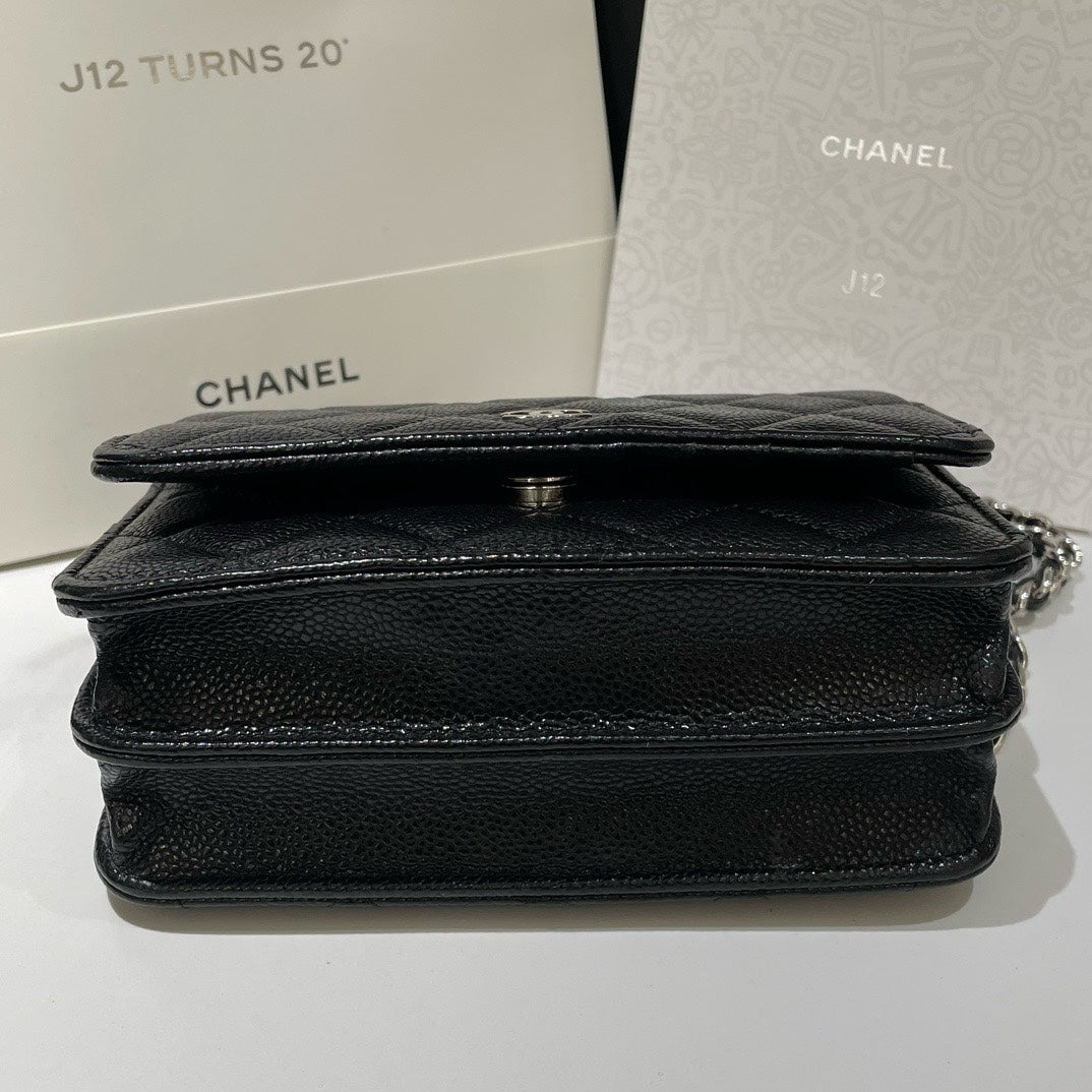 Chanel Wallet On Chain Crossbody Bag - Tiana Bags