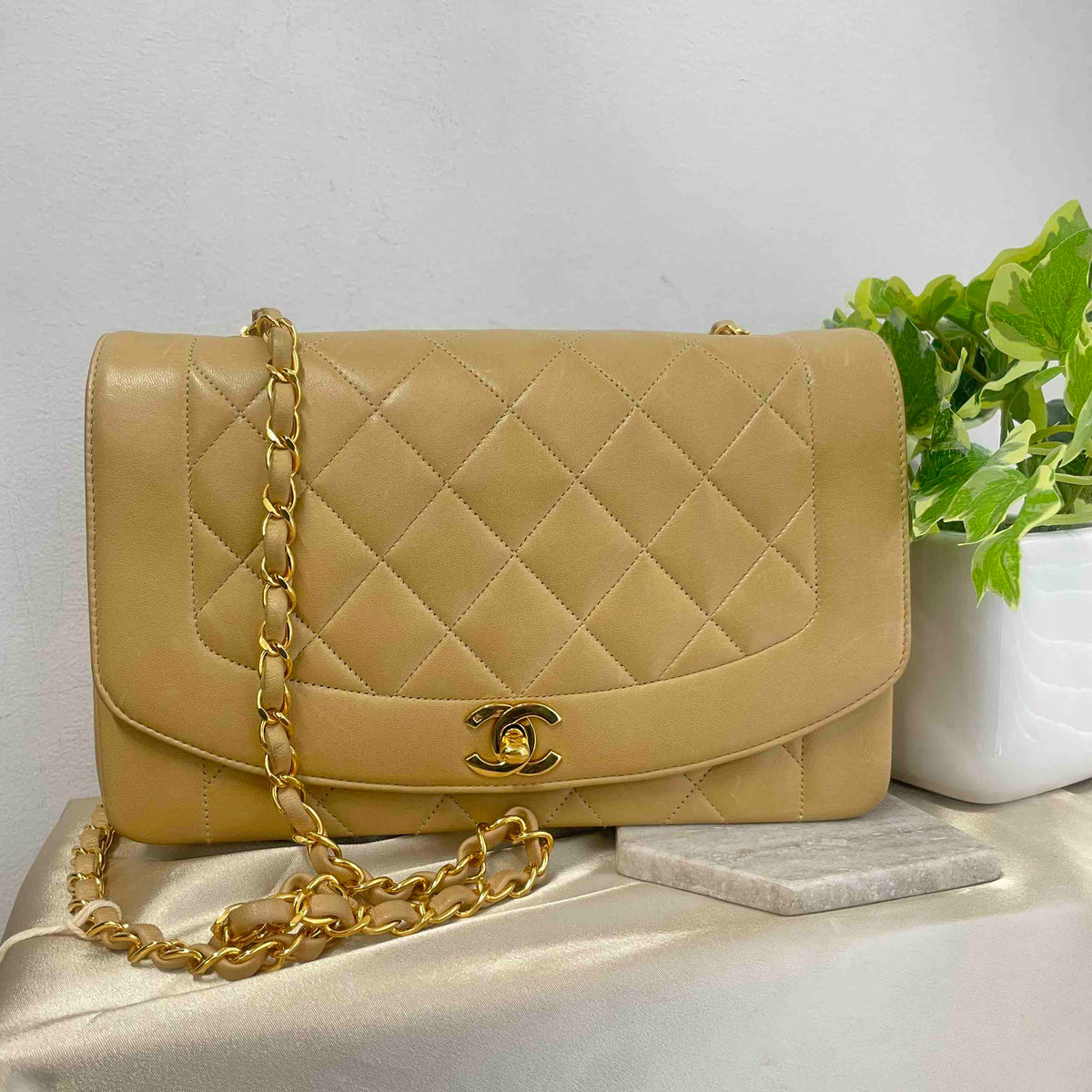 Chanel Diana Shoulder Bag - Tiana Bags