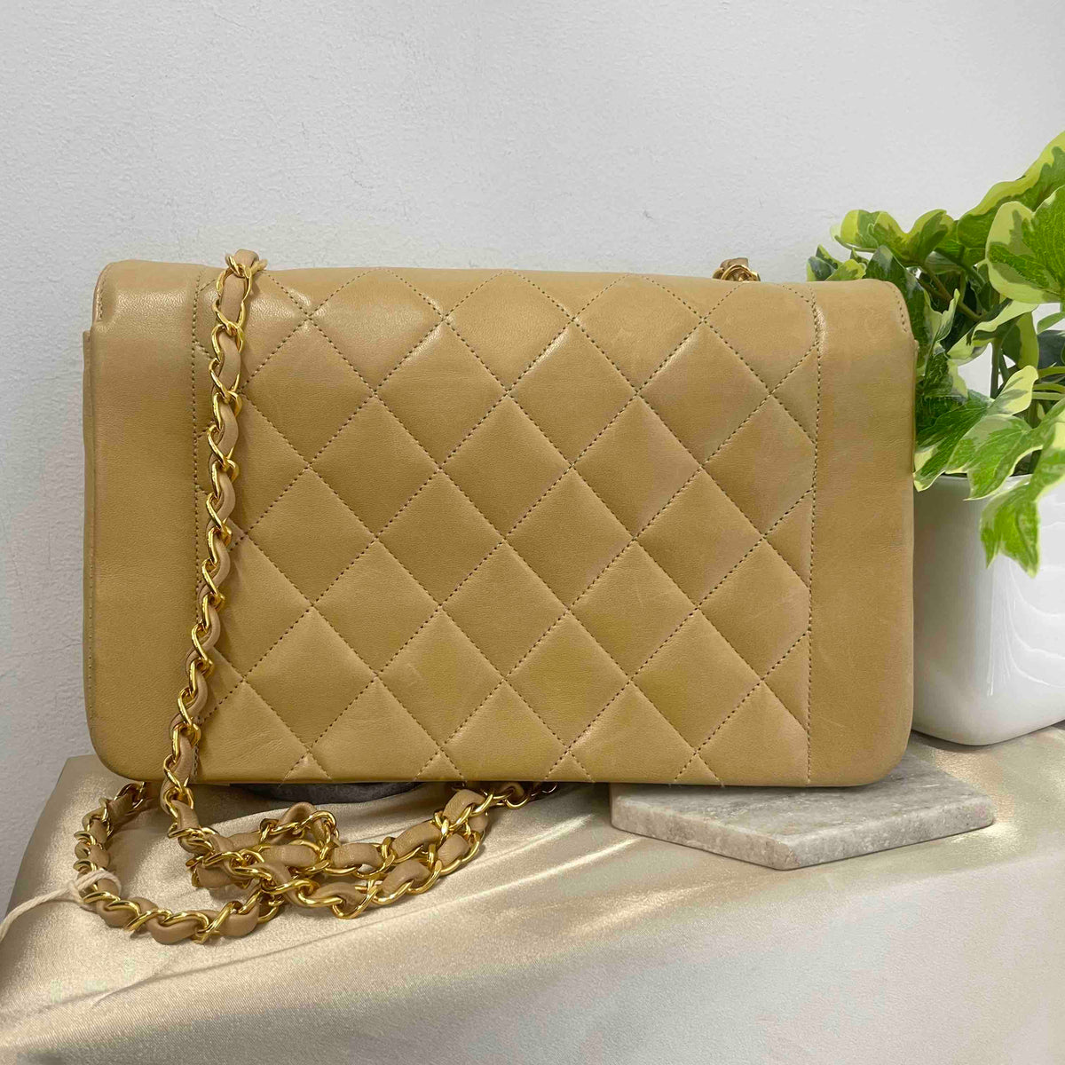 Chanel Diana Shoulder Bag - Tiana Bags